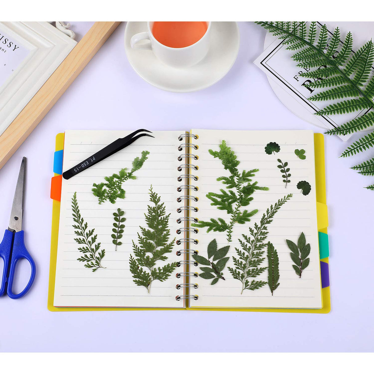 42 Pieces Dried Pressed Leaves Dried Flowers for Resin Real Assorted Dried Greenery for Pressed Leaf Art Craft DIY Embellishment Decorations, 7 BBTO