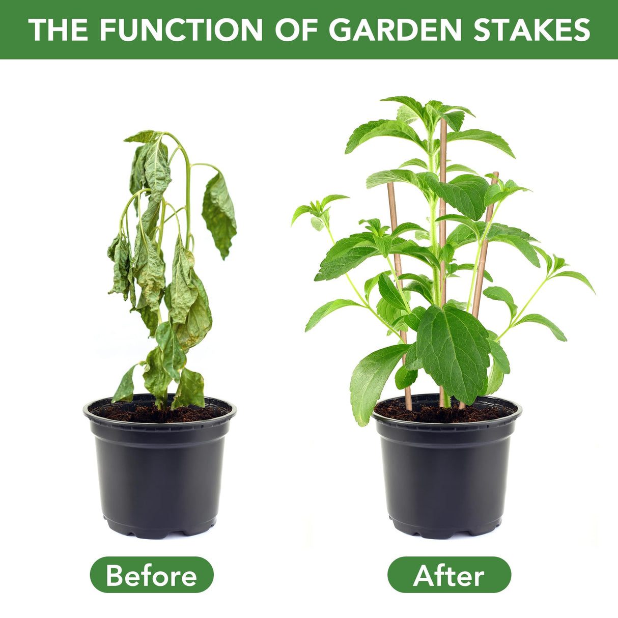 SWANGSA 40 Pack 4 Feet Bamboo Stakes for Plant, Bamboo Sticks Plant Support Garden Stakes Poles with 200pcs Twist Ties for Tomatoes, Beans, Flowers, SWANGSA