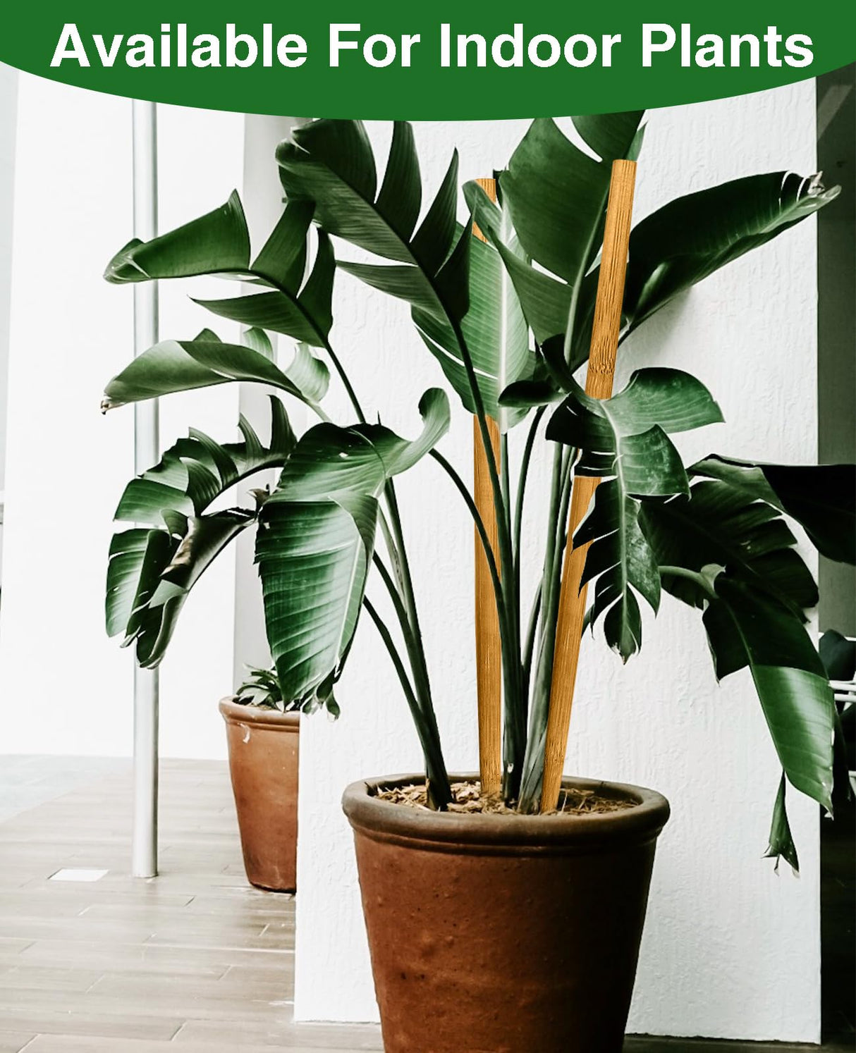 Strong Long Bamboo Plant Stakes for Indoor Plants, 12Pcs Bamboo Sticks for Plants, Plant Sticks Support Tall 18inch, Bamboo Plant Stakes, Garden VIPMORE