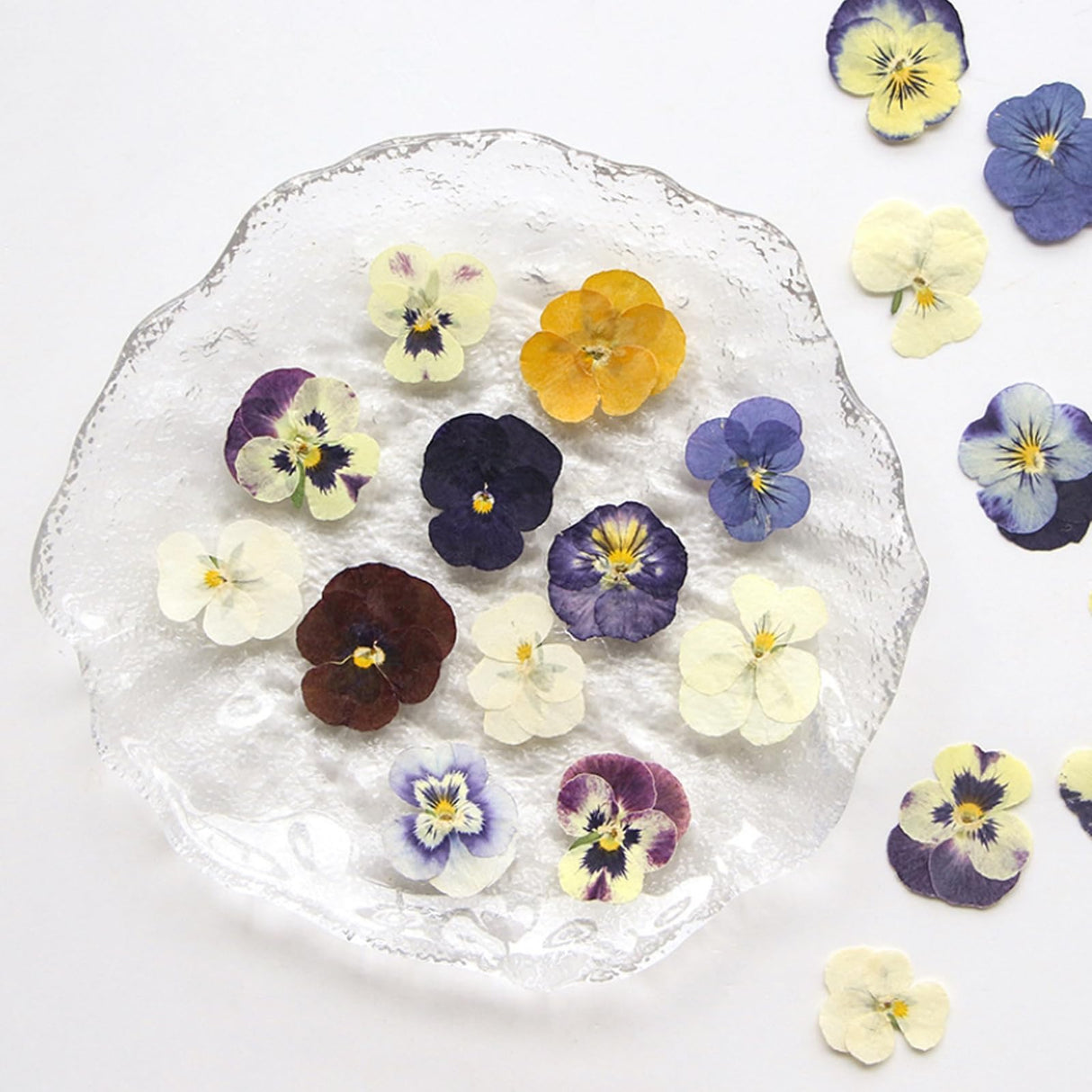 54 Pcs Dried Pressed Flowers for Resin DIY Art Crafts Natural Dry Floral Epoxy Jewelry Real Flower Decor Cakes Phone Cases Candles Handmade Soap TopFunny