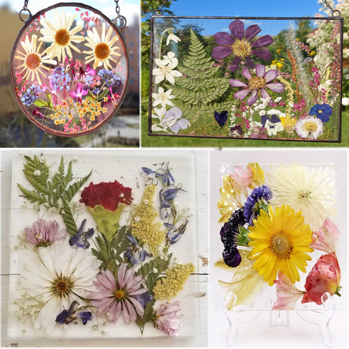 OECCO Large Pink Dried Pressed Flower for Resin, Big Real Nature Pressing Floral Leaves for DIY Craft, Mold, Jewelry Making, Candle Scrapbooking OECOO