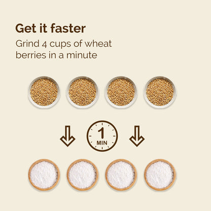 Powerful High Speed Electric Grain Mill Grinder for Healthy Gluten-Free Flours - Grain Grinder Mill, Wheat Grinder, Flour Mill Machine and Flour Mill