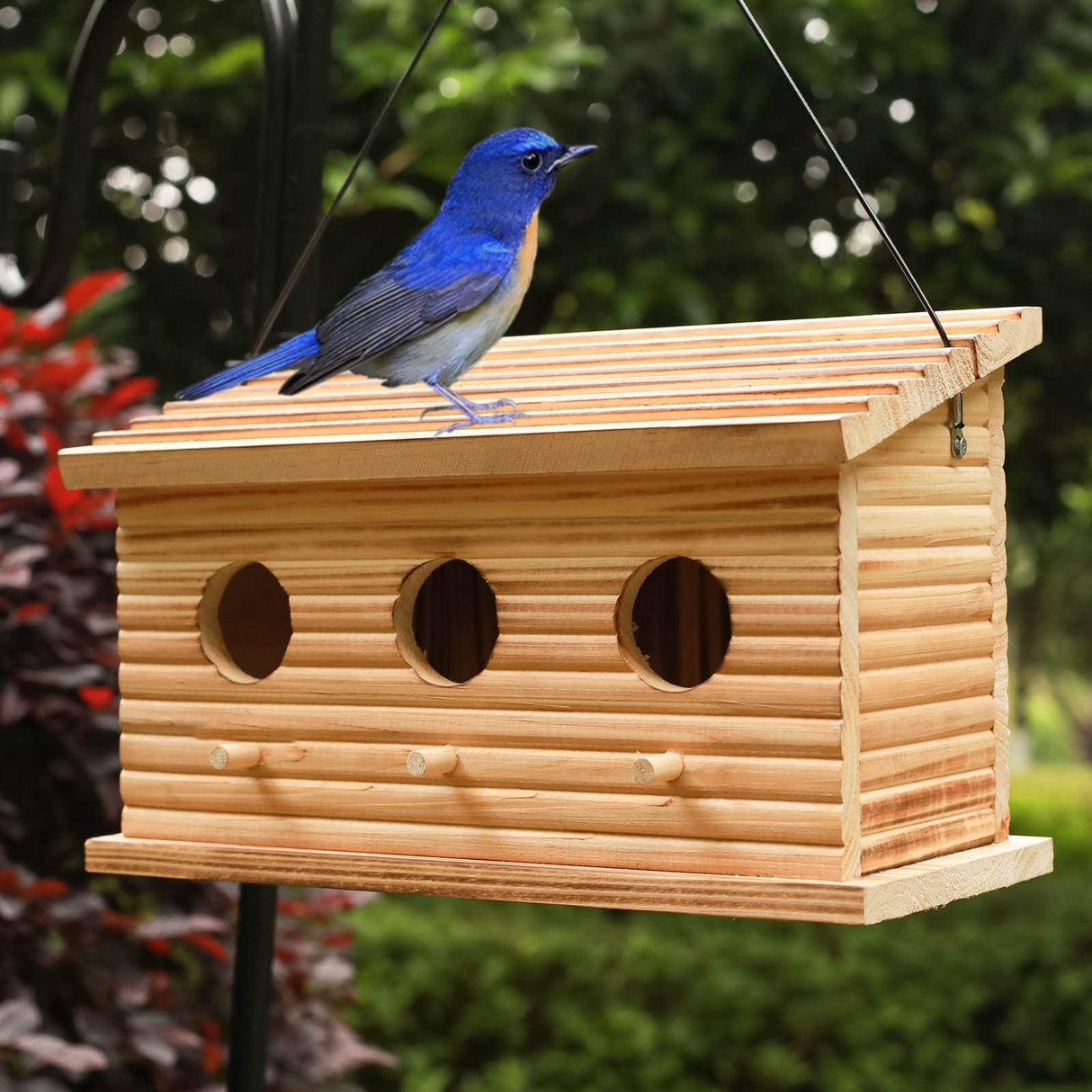 STARSWR Bird Houses for Outside,Outdoor Bird House Room for 3 Bird Families 3 Hole Bluebird Finch Cardinals Hanging Birdhouse STARSWR