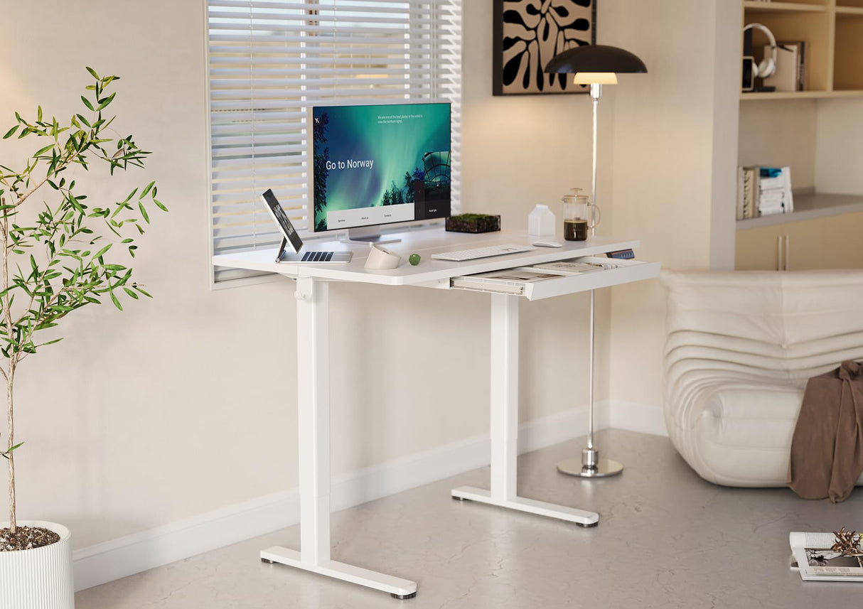 YDN Standing Desk with Drawers, 48 x 24 Inch Adjustable Height Stand Up Desk, Electric Sit Stand Computer Desk for Home Office, White YDN