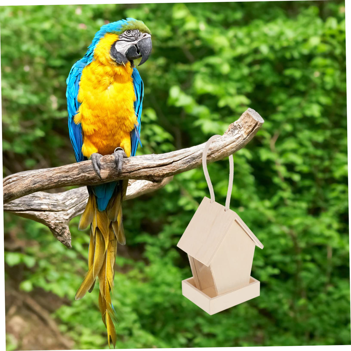 Yardwe 3pcs Wooden Bird Feeder Hanging Bird House Outdoor Bird House Unfinished Wooden Birdhouse Wooden Birdhouses to Paint Outside Bird Feeder Yardwe