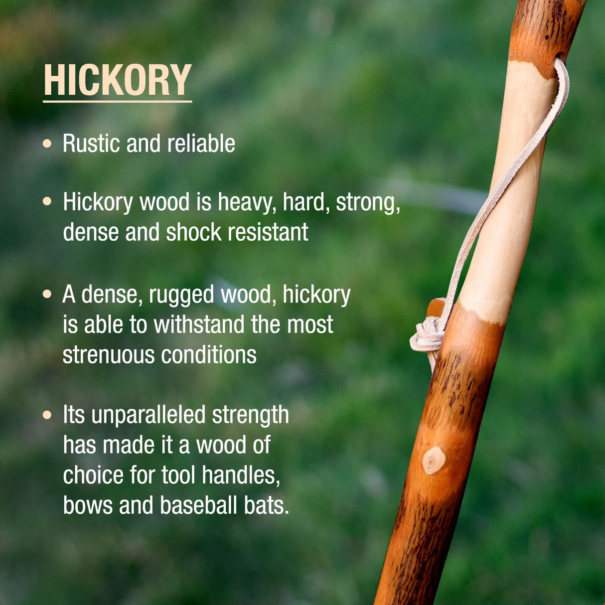 Brazos Rustic Wood Walking Stick, Twisted Hickory, Traditional Style Handle, for Men & Women, Made in the USA, 48" Brazos