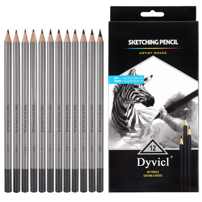 Dyvicl Professional Drawing Sketching Pencil Set - 12 Pieces Drawing Pencils 10B, 8B, 6B, 5B, 4B, 3B, 2B, B, HB, 2H, 4H, 6H Graphite Pencils for