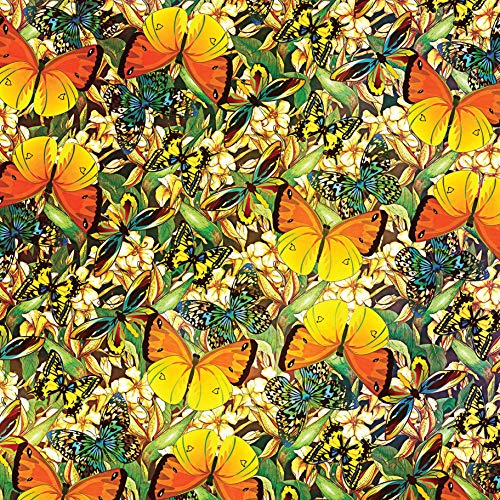 Origami Butterflies Kit: The LaFosse Butterfly Design System - Kit Includes 2 Origami Books, 12 Projects, 98 Origami Papers: Great for Both Kids and Tuttle Publishing