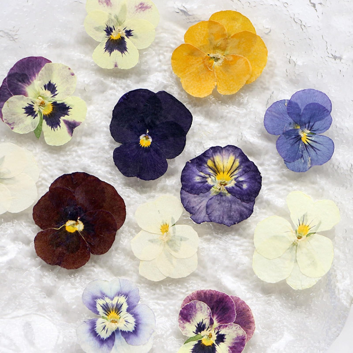 54 Pcs Dried Pressed Flowers for Resin DIY Art Crafts Natural Dry Floral Epoxy Jewelry Real Flower Decor Cakes Phone Cases Candles Handmade Soap TopFunny