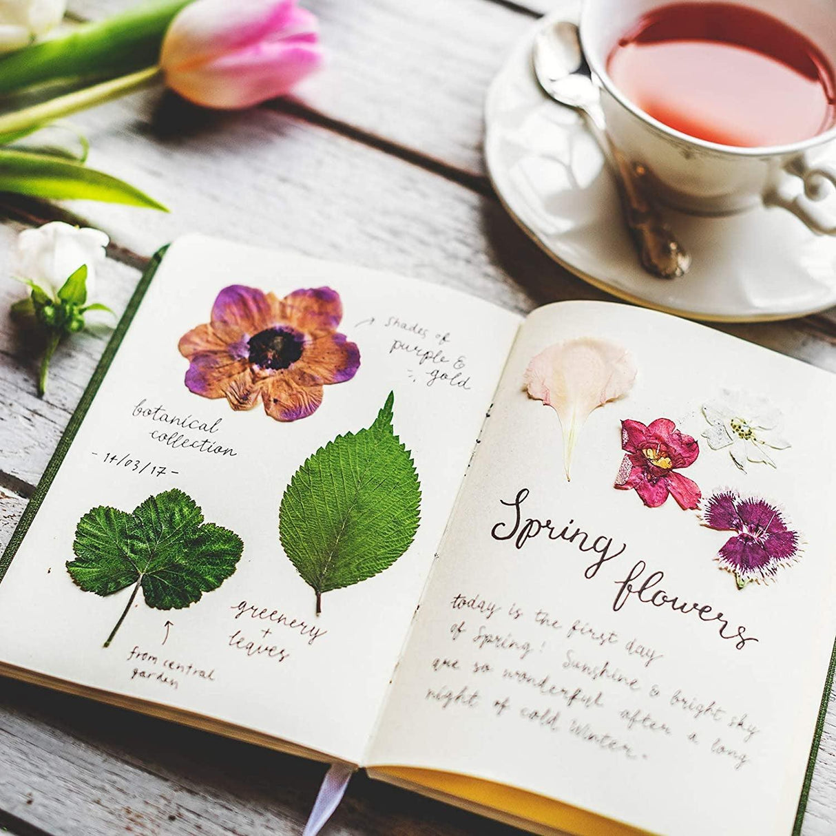 223 Pieces Real Dried Flowers Leaves and Butterfly Stickers Set, Multiple Pressed Dry Flowers Colorful Natural Daisies Flowers and Adhesive Butterfly WoodArtSupply