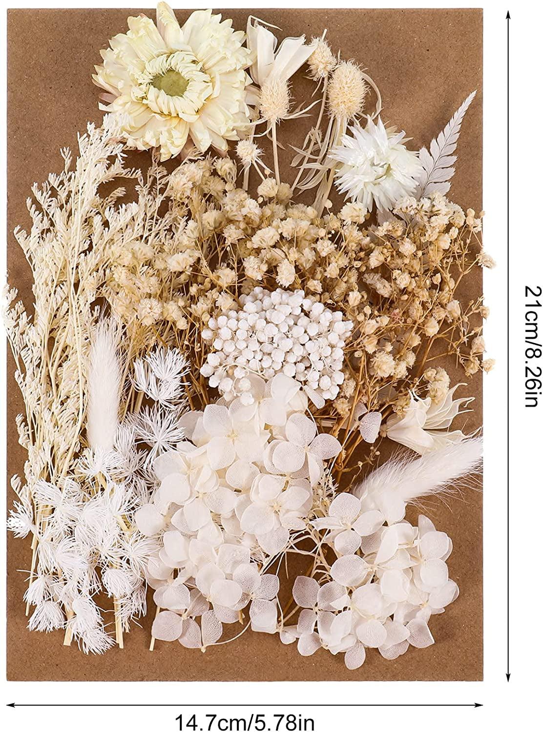 Real Dried Flowers, Natural Dried Flowers Mixed, Hydrangeas, Daisies, Natural Pressed Flowers White Decorative Dried Flowers for DIY Candle Resin WoodArtSupply