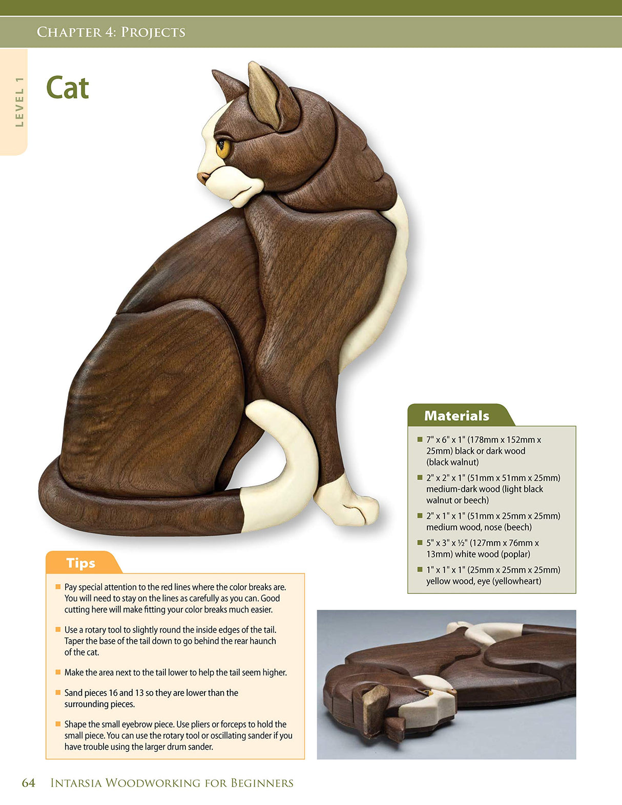 Intarsia Woodworking for Beginners: Skill-Building Lessons for Creating Beautiful Wood Mosaics: 25 Skill-Building Projects (Fox Chapel Publishing) Design Originals