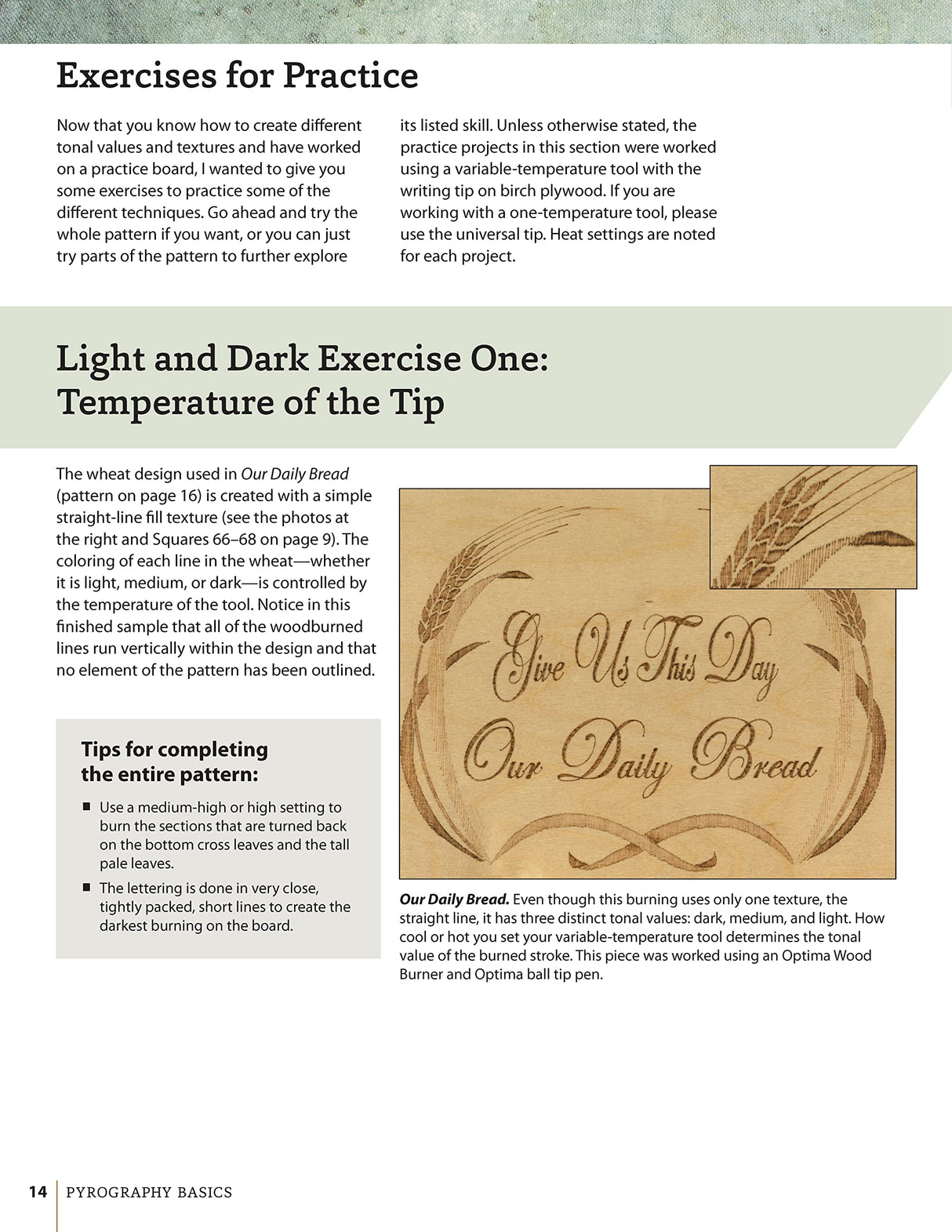 Pyrography Basics: Techniques and Exercises for Beginners (Design Originals) Patterns for Woodburning with Skill-Building Step-by-Step Instructions Design Originals