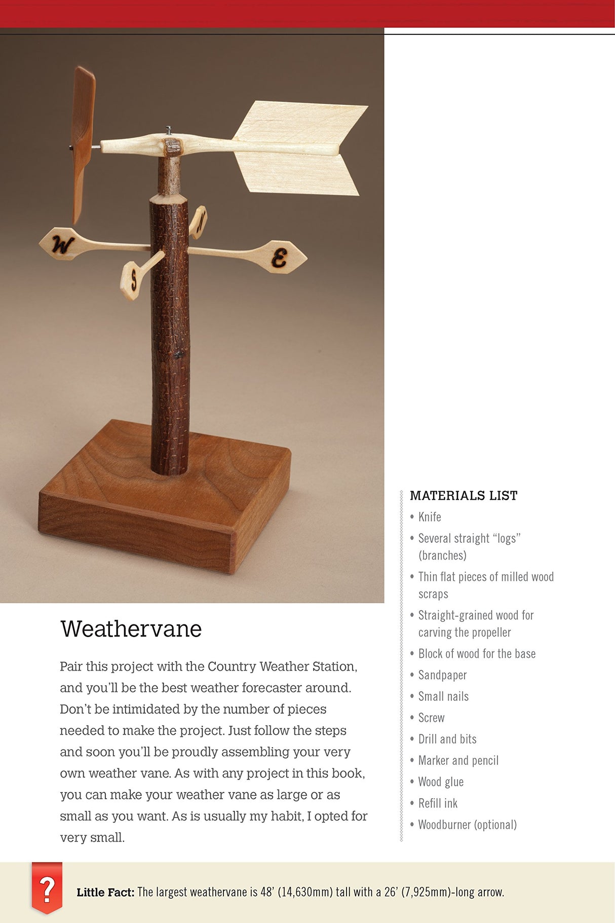 Big Book of Whittle Fun: 31 Simple Projects You Can Make with a Knife, Branches & Other Found Wood (Fox Chapel Publishing) Detailed Instructions & Fox Chapel Publishing