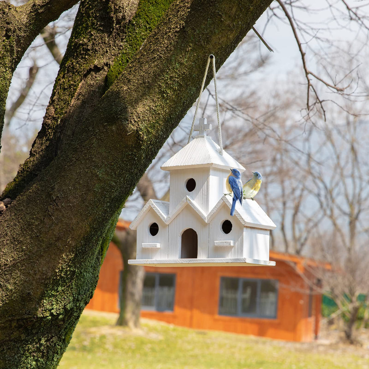 HHWODB Birdhouse Premium Bluebird Houses for Outside, Attract Beautiful Birds to Your Garden and Yard - Durable Outdoor Birdhouses 4 Hole Bird Houses HHWODB