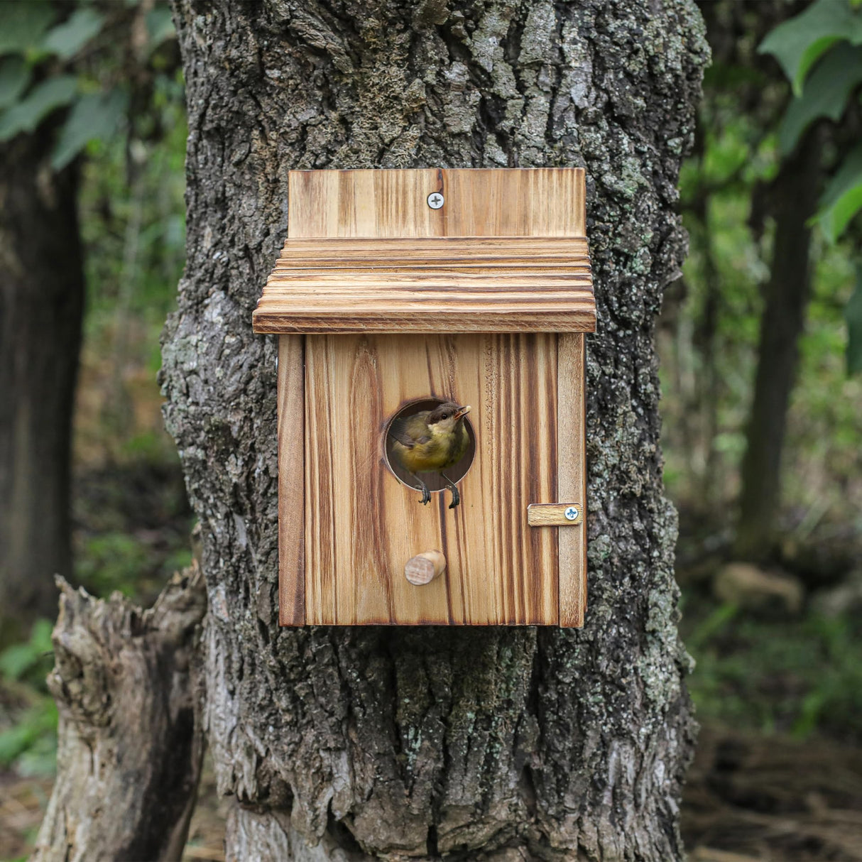 Bird Houses for Outside,Wooden Birdhouse with Open House Design - Perfect Nesting Box for Bluebirds - Assembly Required - Ideal for Outside - Blue CLACKIBUKVYZ