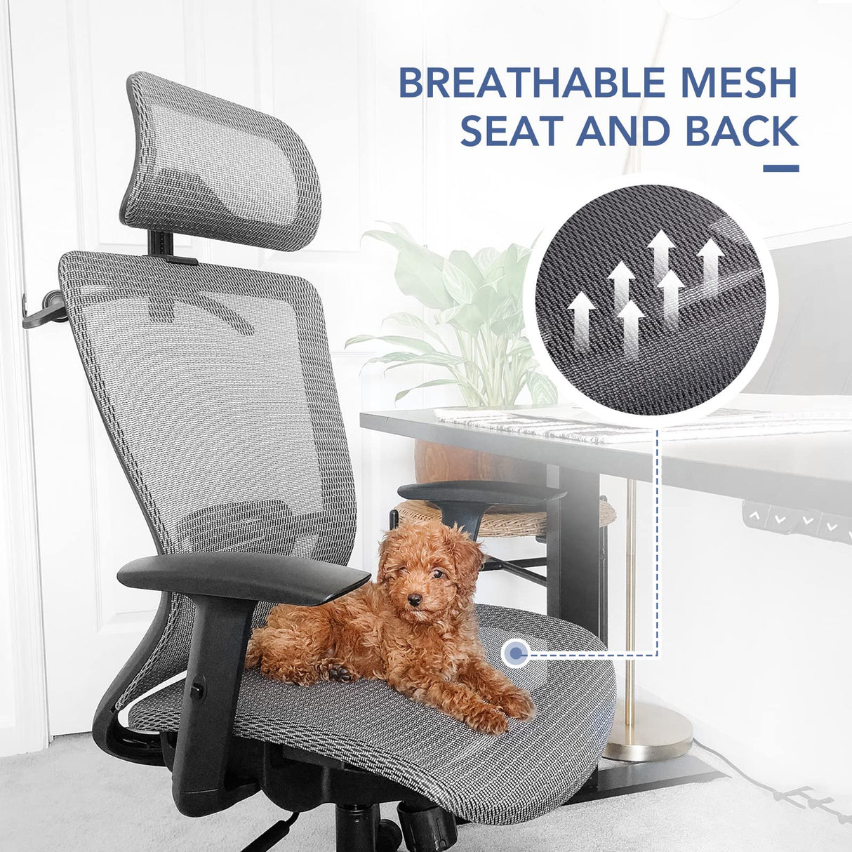 FLEXISPOT OC3B Ergonomic Executive Mesh Office Task Chair Swivel Height Adjustable Seat Headrest Armrest Lumbar Support Caster Wheels For Computer FLEXISPOT