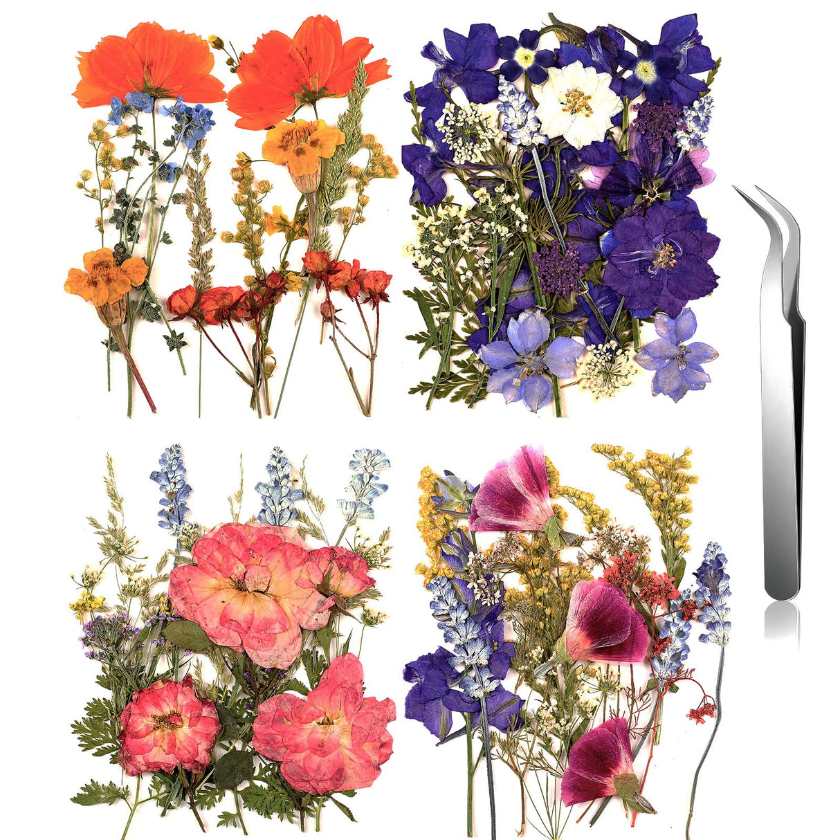 Pressed Flowers Bulk Dried Flower for Resin Mold, Dried Flower Leave Natural with Tweezer for Crafts Christmas DIY Gift Scrapbooking(Gorgeous Style) Nuanchu