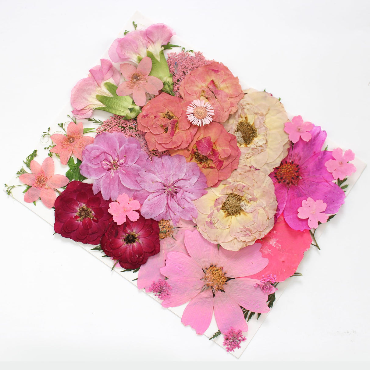 OECCO Large Pink Dried Pressed Flower for Resin, Big Real Nature Pressing Floral Leaves for DIY Craft, Mold, Jewelry Making, Candle Scrapbooking OECOO