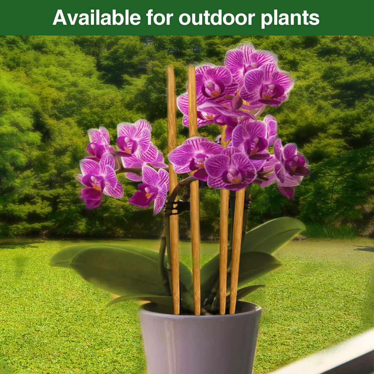 Strong Long Bamboo Plant Stakes for Indoor Plants, 12Pcs Bamboo Sticks for Plants, Plant Sticks Support Tall 18inch, Bamboo Plant Stakes, Garden VIPMORE