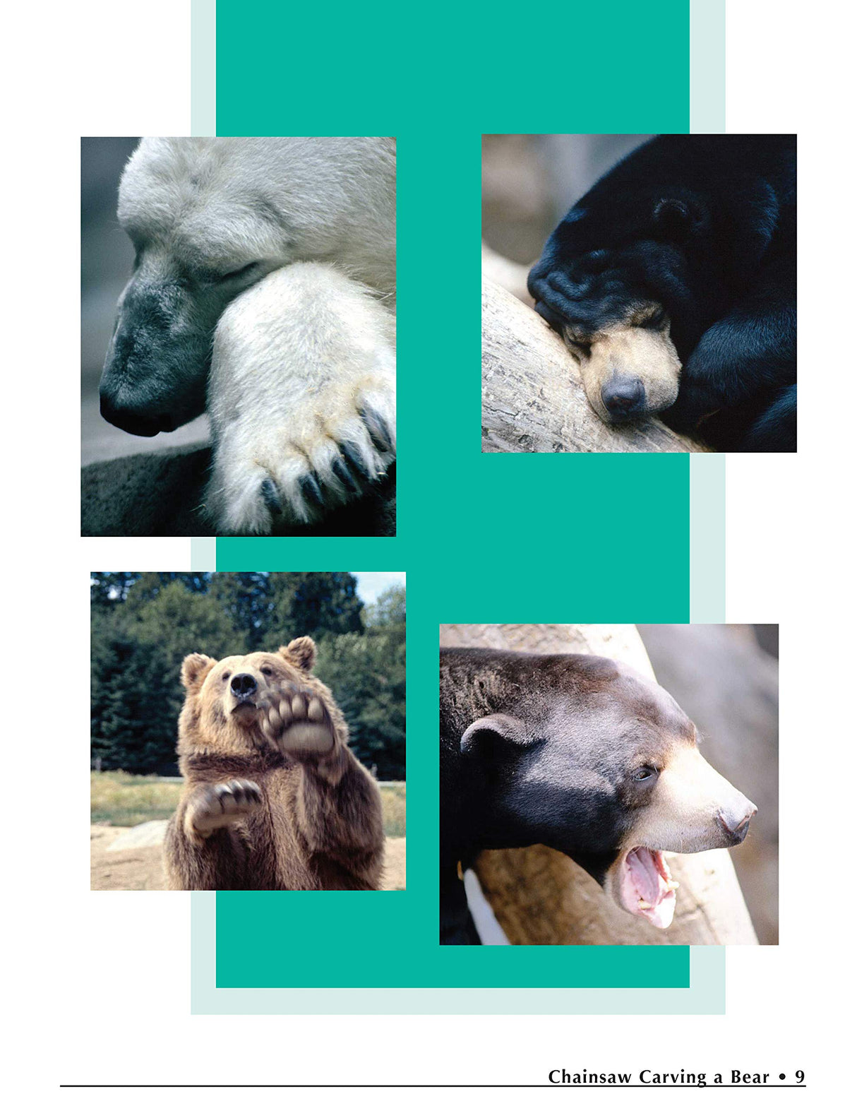 Chainsaw Carving a Bear: A Complete Step-By-Step Guide (Fox Chapel Publishing) Beginner-Friendly Details and Easy-to-Follow Illustrated Instructions Design Originals