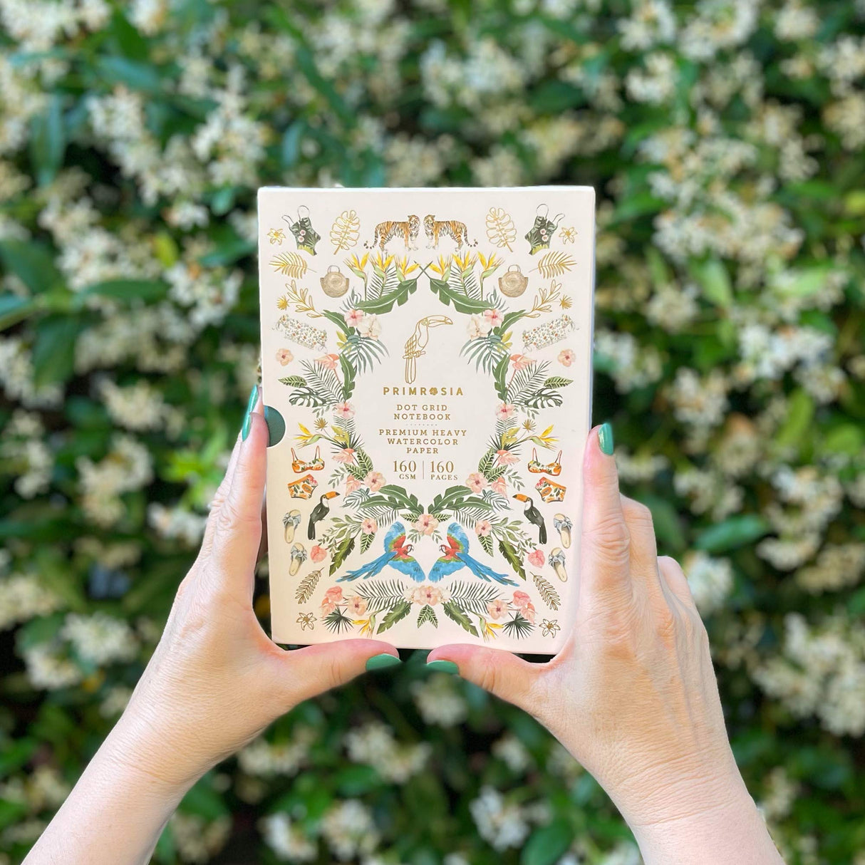 Primrosia 60 Dual Tip Markers + Summer Dot Grid Notebook Primrosia