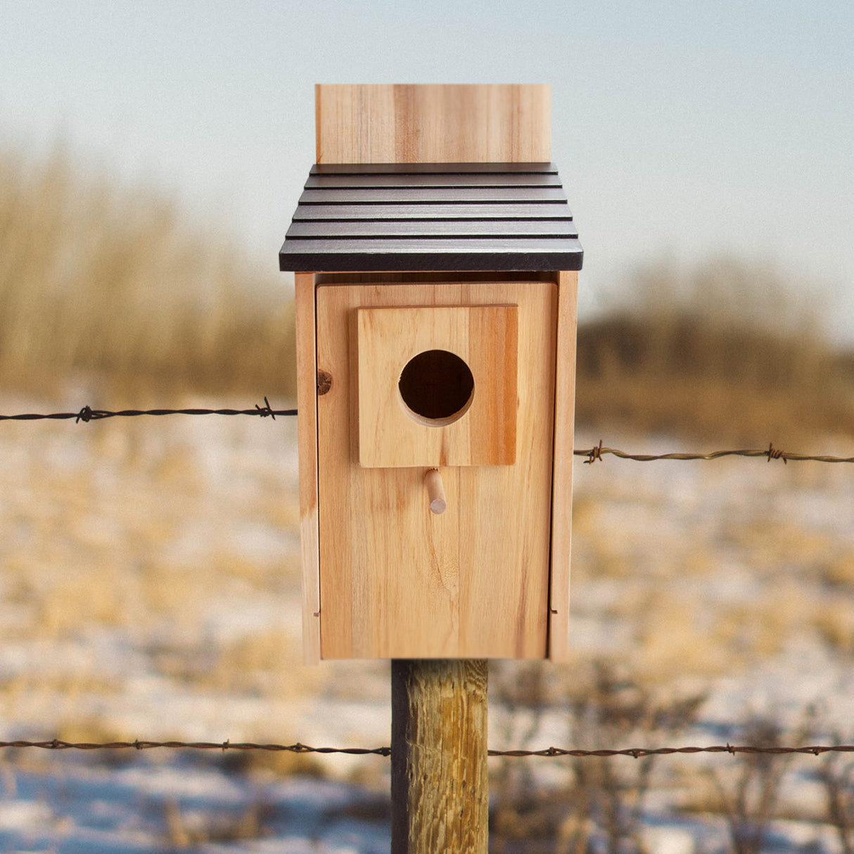 CARTMAN Cedar Blue Bird Box House, Wood Bird Houses for Outside, Hummingbird House for Outside Clearance Garden Country Cottages CARTMAN