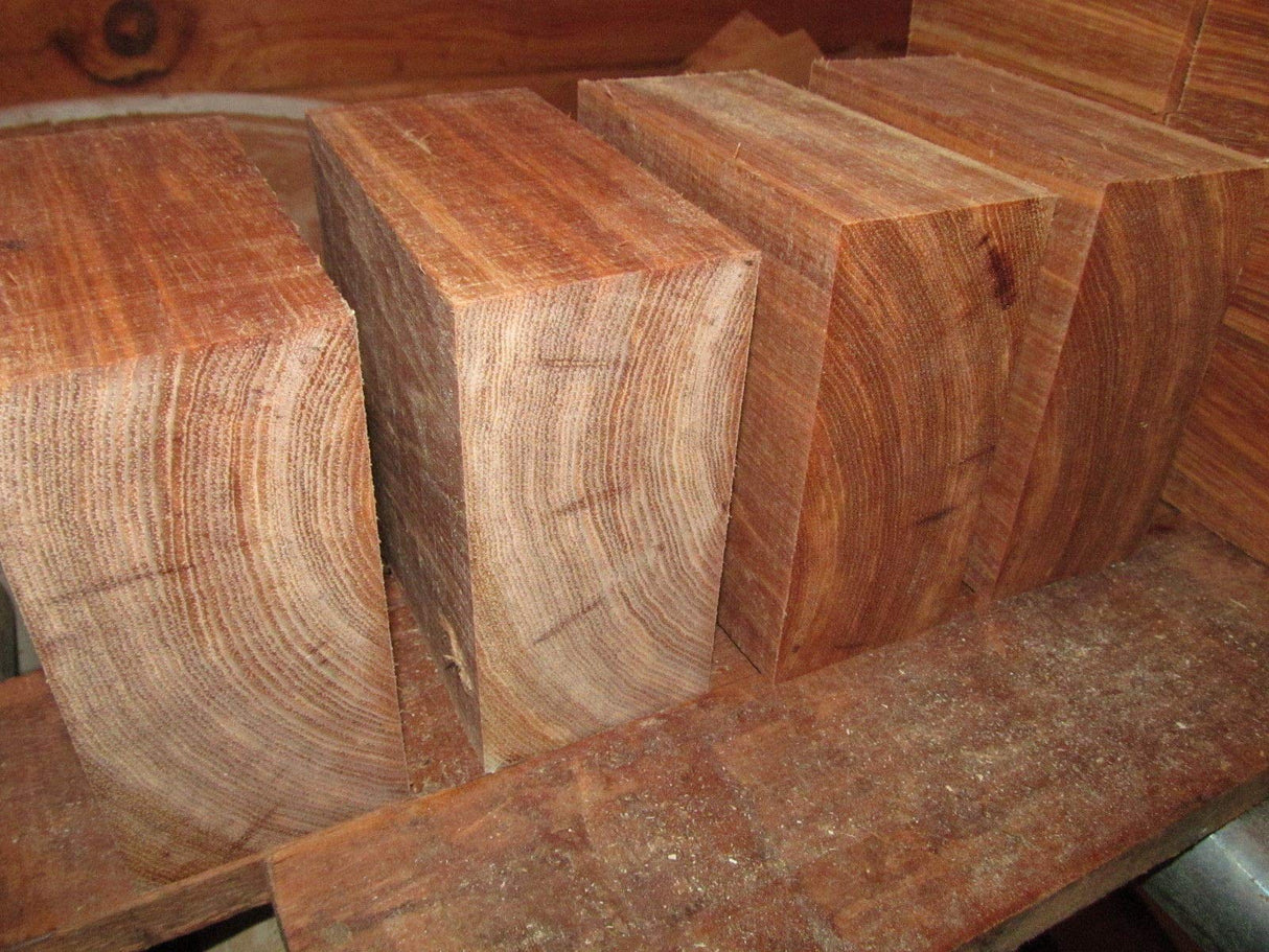 4 Hickory Bowl Blanks Lathe Turning Block Lumber Wood 6 X 6 X 3" Rcow décor