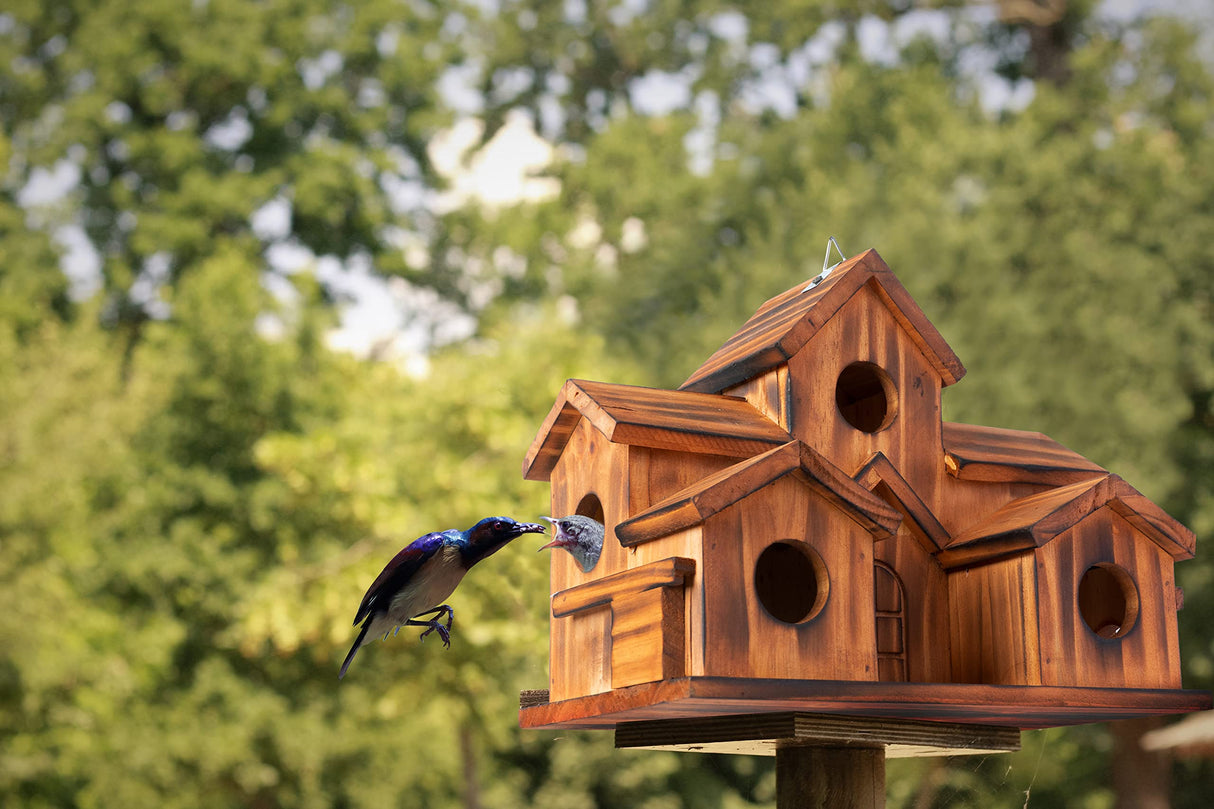 COLEBA Bird Houses for Outside,Outdoor 5 Hole Bird House Room for 5 Bird Families Bluebird Finch Cardinals Hanging Birdhouse for Garden (Brown - Set COLEBA