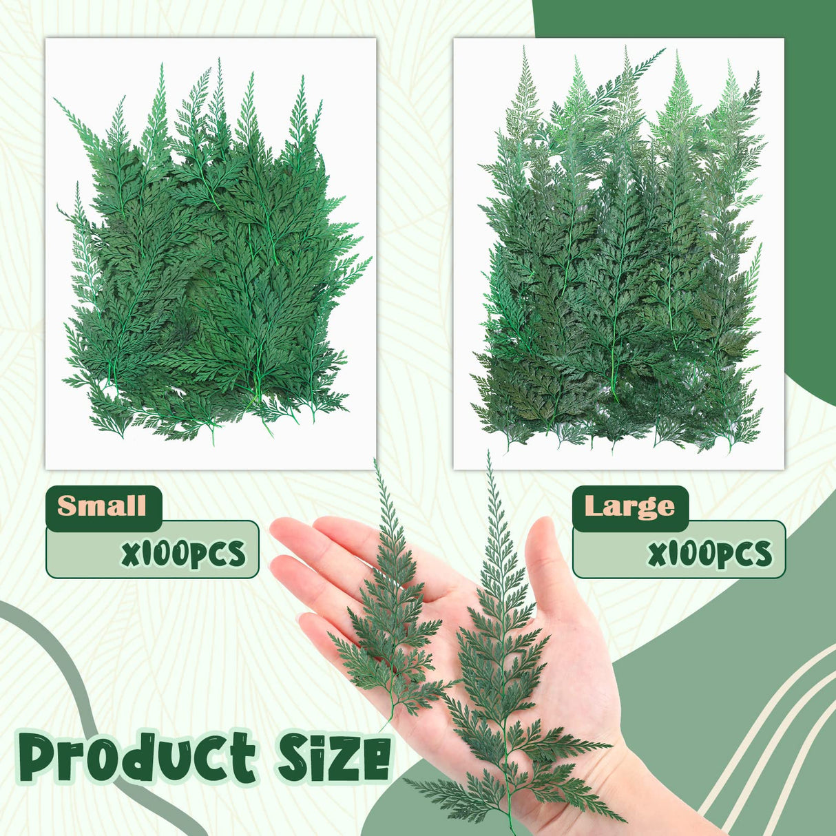 200 Pcs Dried Pressed Flowers Leaves Larkspur Flowers Small Dry Flowers Preserved Natural Ferns Real Dried Leaves Plant Leaf for Resin Arrangements Fumete