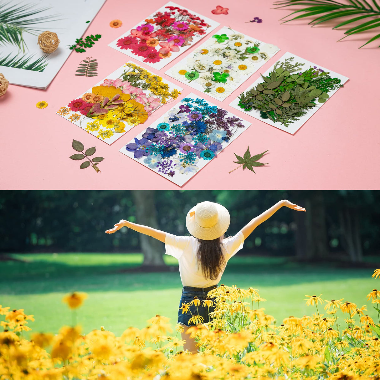 Dried Pressed Flowers, 170+ Pcs Mixed Dried Flowers for Resin, Bulk Natural Dry Floral Resin Fillers Decoration Accessories for DIY Crafts, oddava