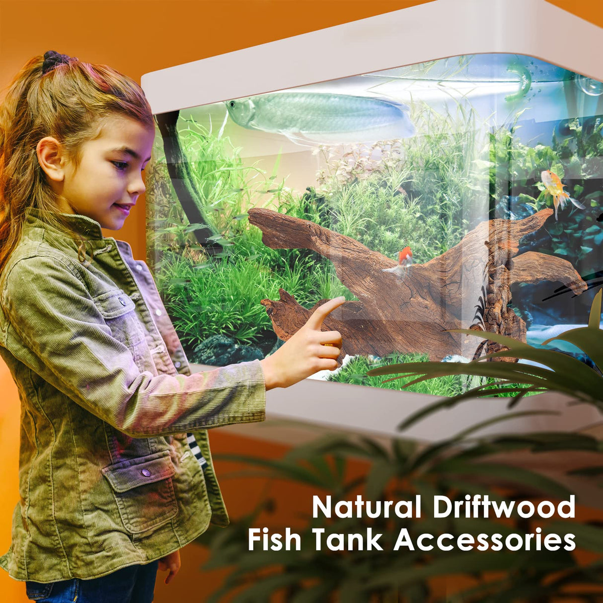 Jorewood Natural Large Coral Driftwood for Aquarium Decor Fish Tank Decorations Reptile Decor, Assorted Driftwood Branch 9-14" 2 Pcs Jorewood