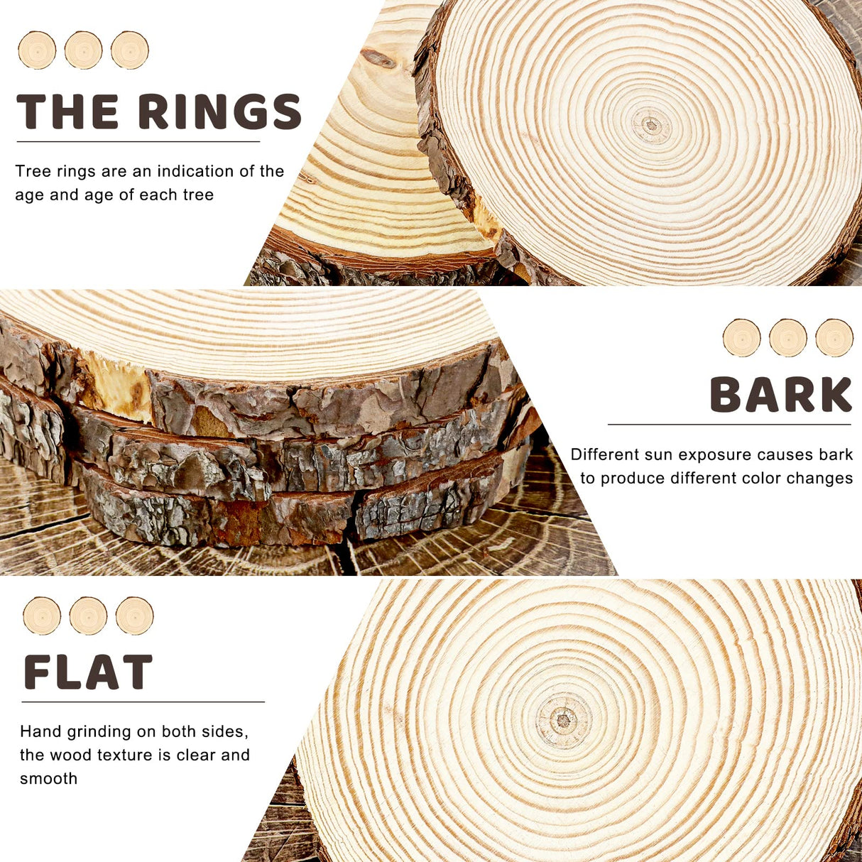 FSWCCK 6 Pack Nature Unfinished Round Wood Slices, 7-8 Inches Wooden Circle, Large Wood Slabs for Weddings Centerpieces Decor and DIY Painting Crafts FSWCCK