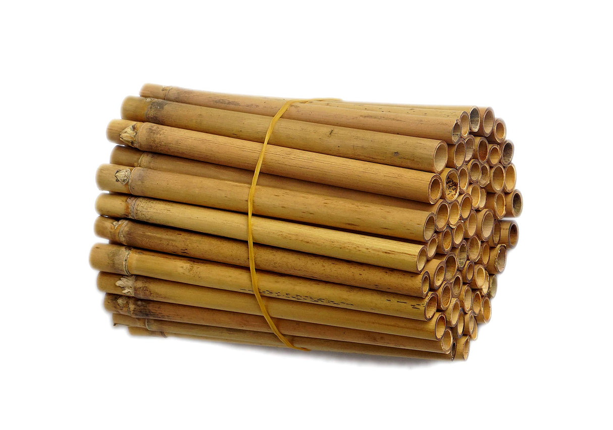 IA Crafts Bamboo Tubes, for Mason Bees, Natural Bamboo Bee Nest, Easy to Split for Cocoon Harvest, 5.9" Long and 0.27"-0.4" Inner Diameter (0.75) IA Crafts