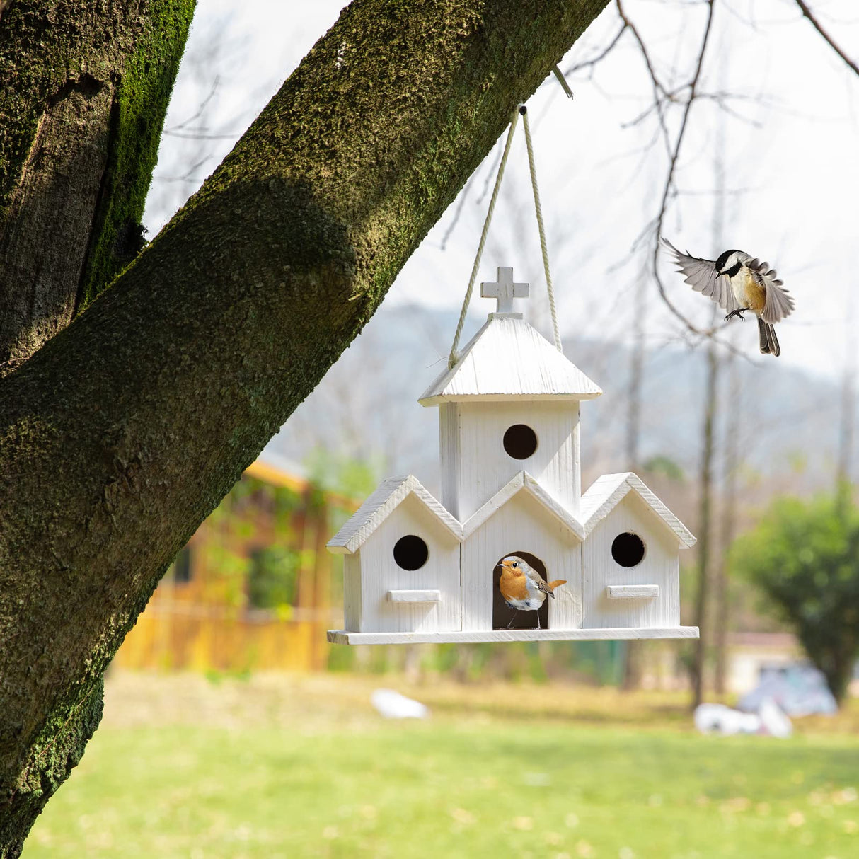 HHWODB Birdhouse Premium Bluebird Houses for Outside, Attract Beautiful Birds to Your Garden and Yard - Durable Outdoor Birdhouses 4 Hole Bird Houses HHWODB