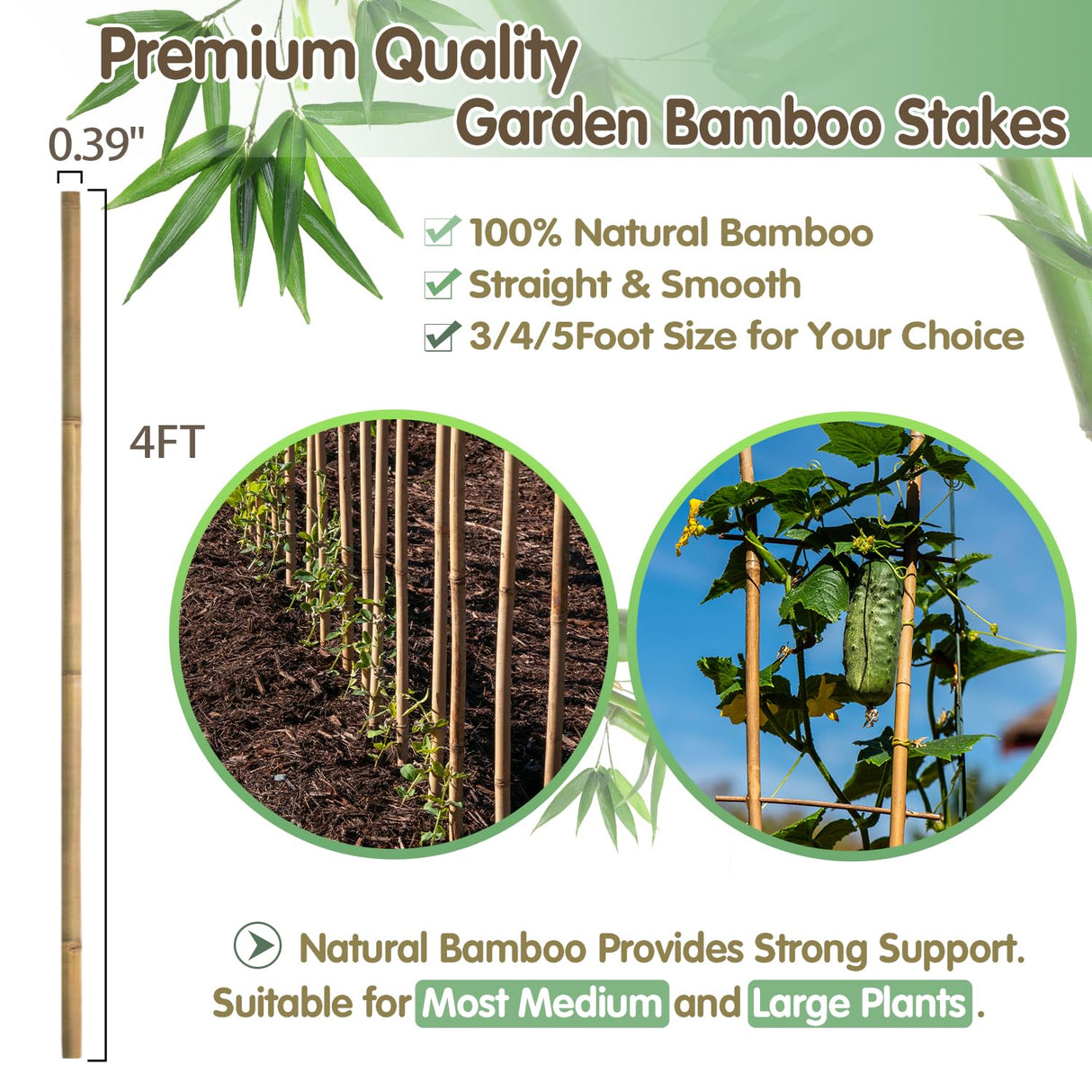 Bamboo Stakes,4FT Natural Bamboo Garden Stakes,BOVITRO 25Pcs Bamboo Plant Stakes,Bamboo Sticks for Tomato,Beans,Vegetable and Climbing Plants BOVITRO