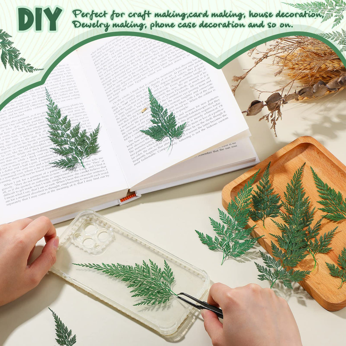 200 Pcs Dried Pressed Flowers Leaves Larkspur Flowers Small Dry Flowers Preserved Natural Ferns Real Dried Leaves Plant Leaf for Resin Arrangements Fumete