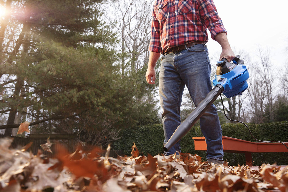 Vacmaster VBV1210, 12-Gallon* 5 Peak HP** Wet/Dry Shop Vacuum with Detachable Blower, Blue Vacmaster