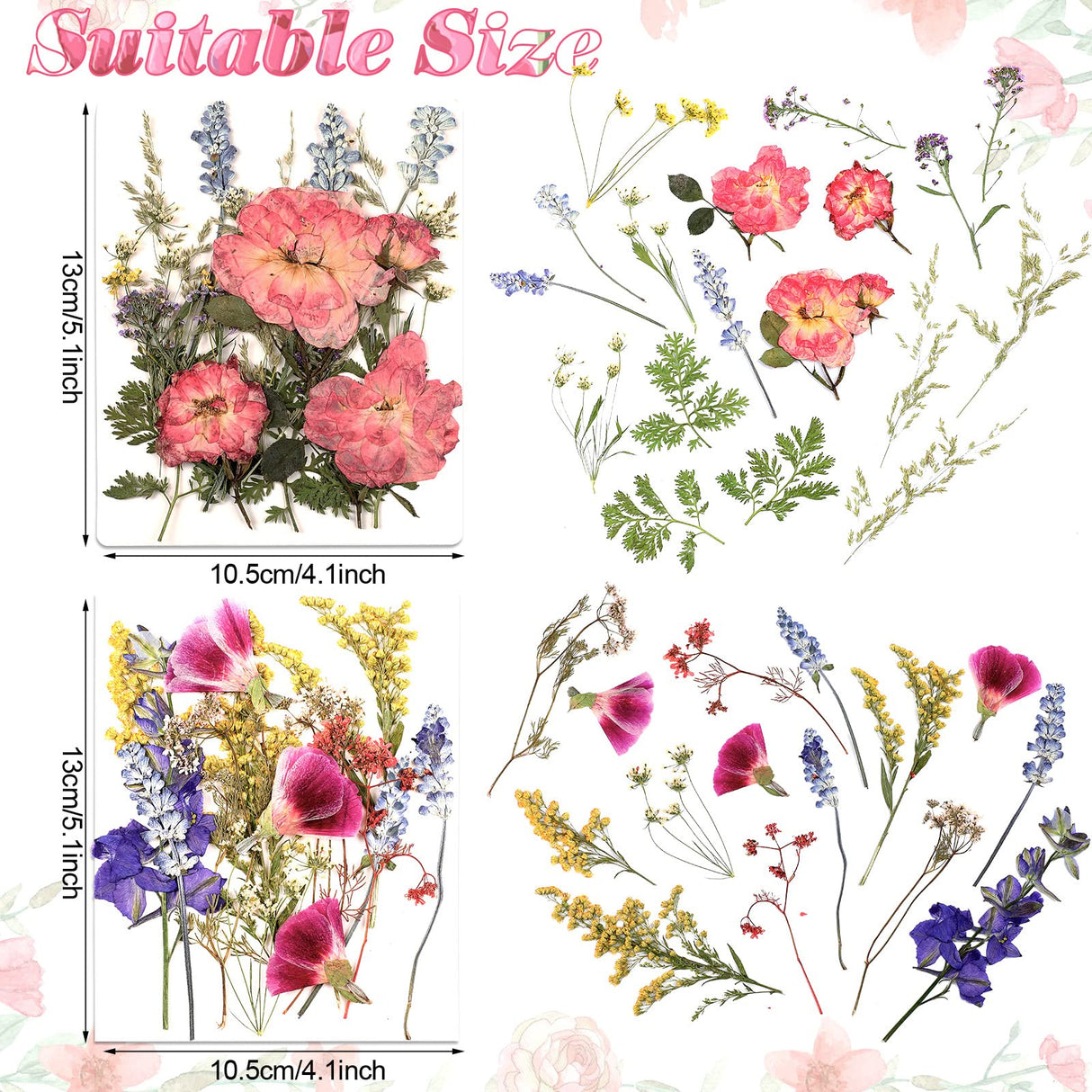 Pressed Flowers Bulk Dried Flower for Resin Mold, Dried Flower Leave Natural with Tweezer for Crafts Christmas DIY Gift Scrapbooking(Gorgeous Style) Nuanchu