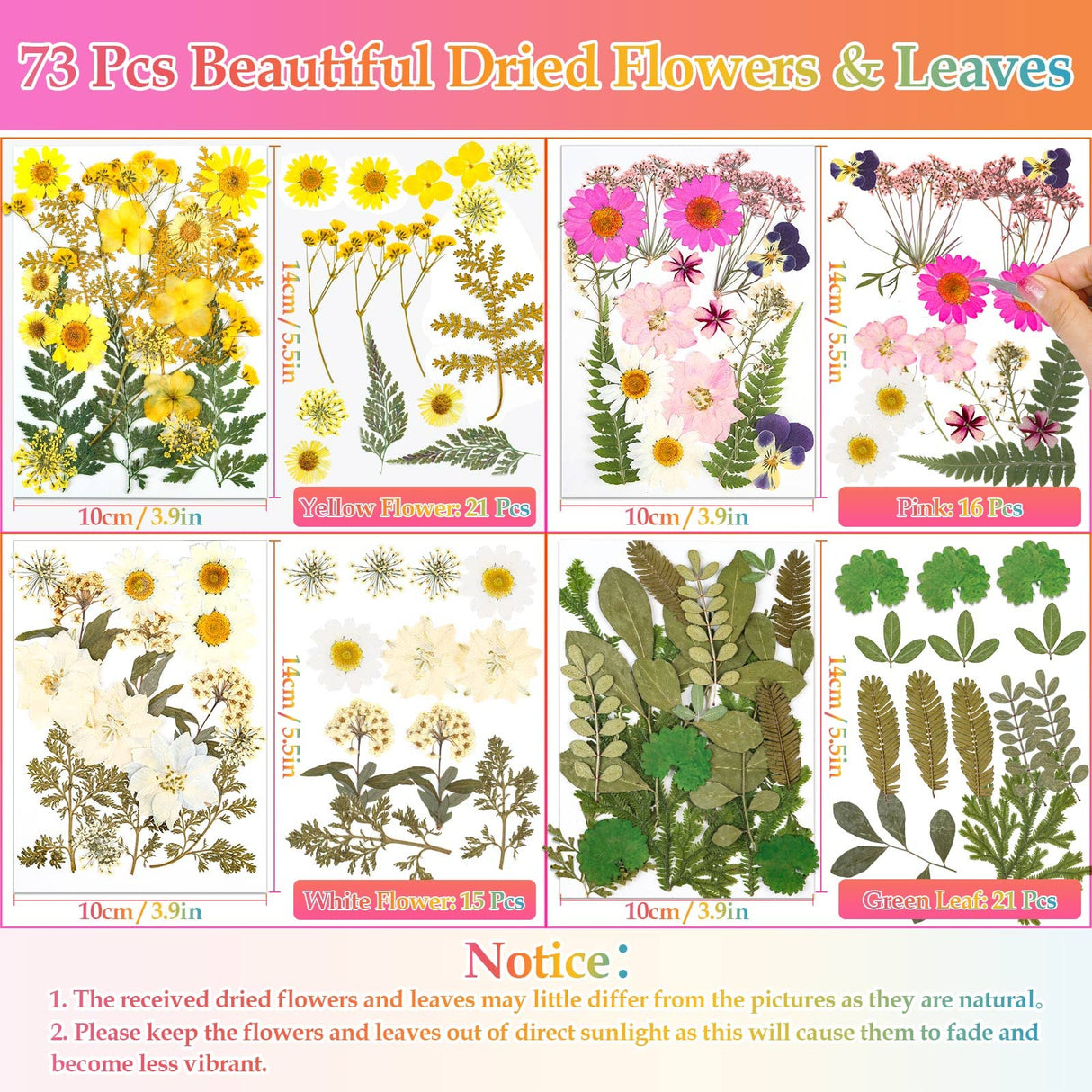 Dried Flowers for Resin, Real Nature Dried Pressed Flower Leaves Bulk with Tweezers for DIY Nail Art Cards Scrapbooking Crafts Jewelry Making Epoxy Cruzix