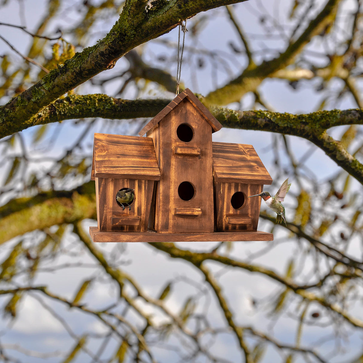 COLEBA Bird Houses for Outside, Outdoor 4 Hole Bird House Room for 4 Bird Families Bluebird Finch Cardinals Hanging Birdhouse for Garden COLEBA