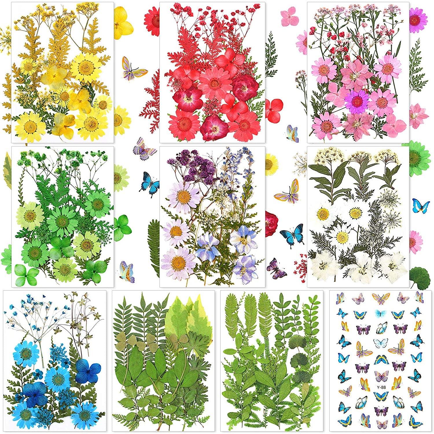 180 Pieces Dried Pressed Flowers and Butterfly Transparent Stickers Set  with Tweezer, Natural Mixed Dry Flowers Leaves for DIY Candle Nail Pendants