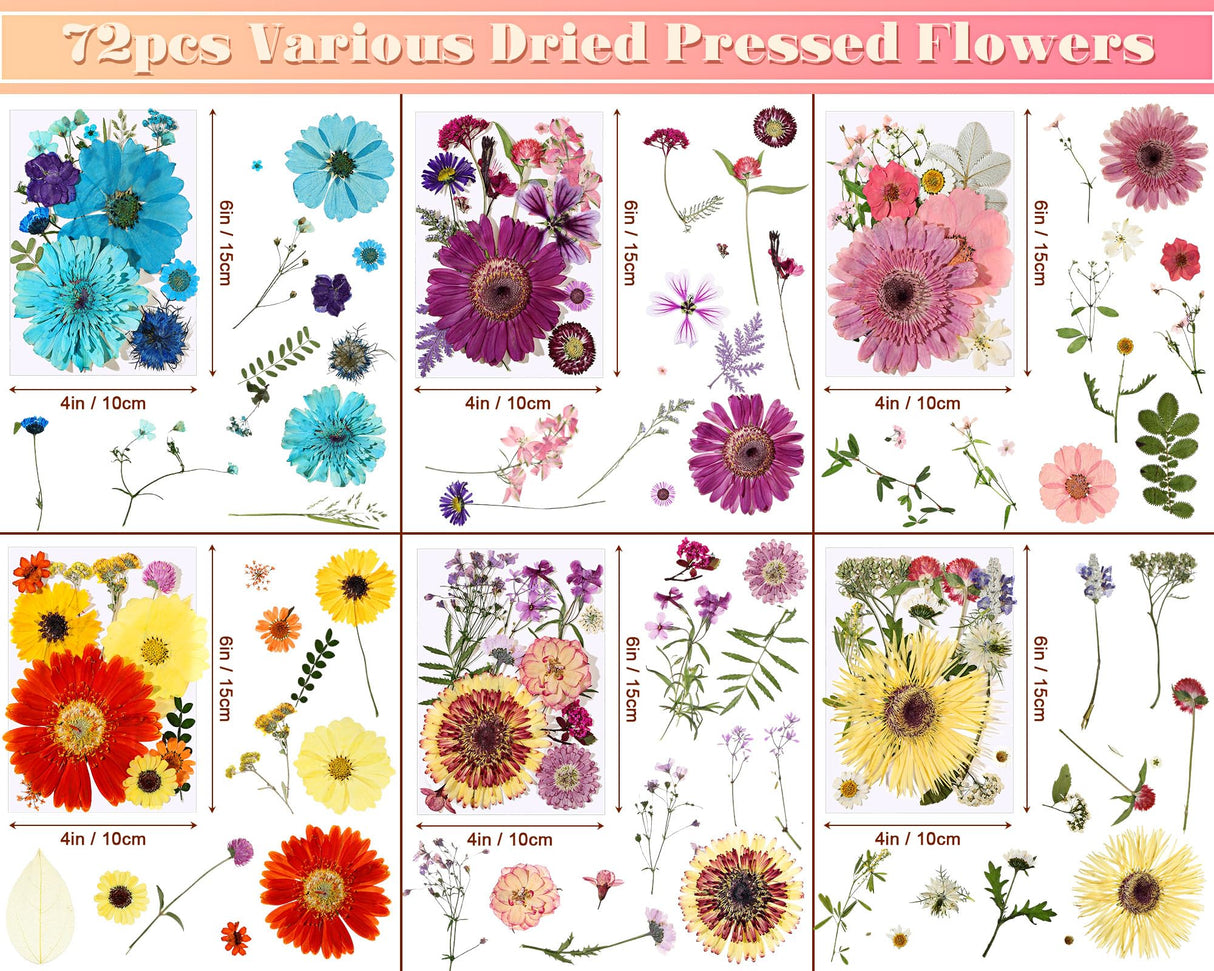 eBoot 72 Pcs Dried Pressed Flowers for Resin Molds Real Pressed Flowers Dry Leaves Bulk Natural Herbs Kit for Scrapbooking DIY Art Crafts Jewelry EBOOT