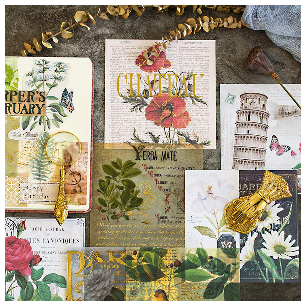 CATaireen Junk Journal Card Making Supplies Kit Scrapbooking Embellishments Collage Decoupage Art Craft for Adults Large DIY TN Travel Notebook CATaireen