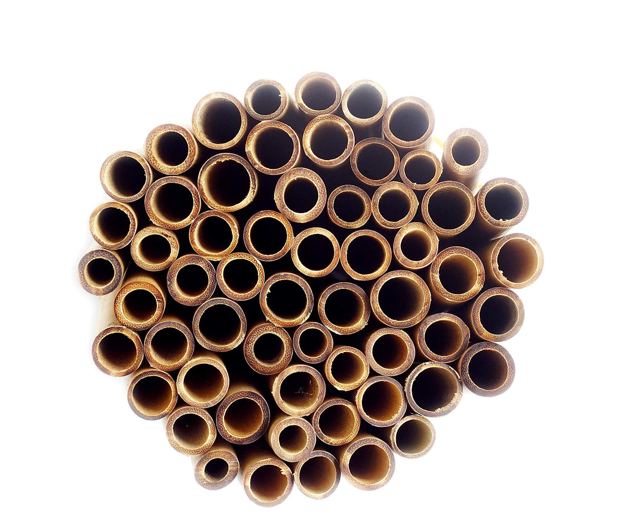 IA Crafts Bamboo Tubes, for Mason Bees, Natural Bamboo Bee Nest, Easy to Split for Cocoon Harvest, 5.9" Long and 0.27"-0.4" Inner Diameter (0.75) IA Crafts