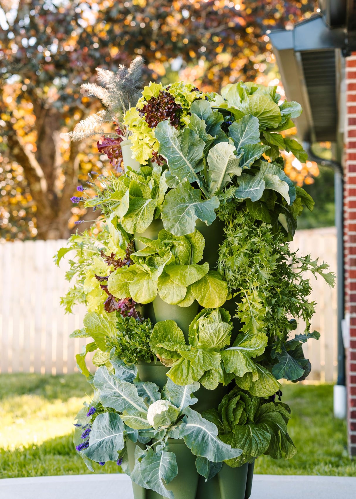 Greenstalk Patented Large 5 Tier Vertical Garden Planter with Patented Internal Watering System Great for Growing a Variety of Strawberries, Greenstalk