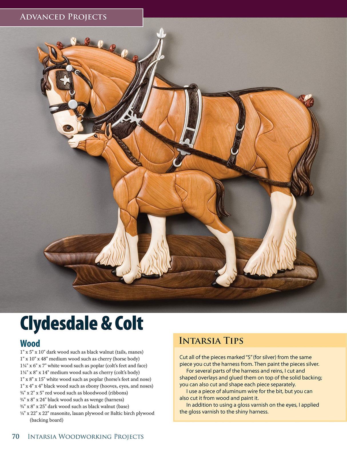 Intarsia Woodworking Projects: 21 Original Designs with Full-Size Plans and Expert Instruction for All Skill Levels (Fox Chapel Publishing) Learn How Fox Chapel Publishing