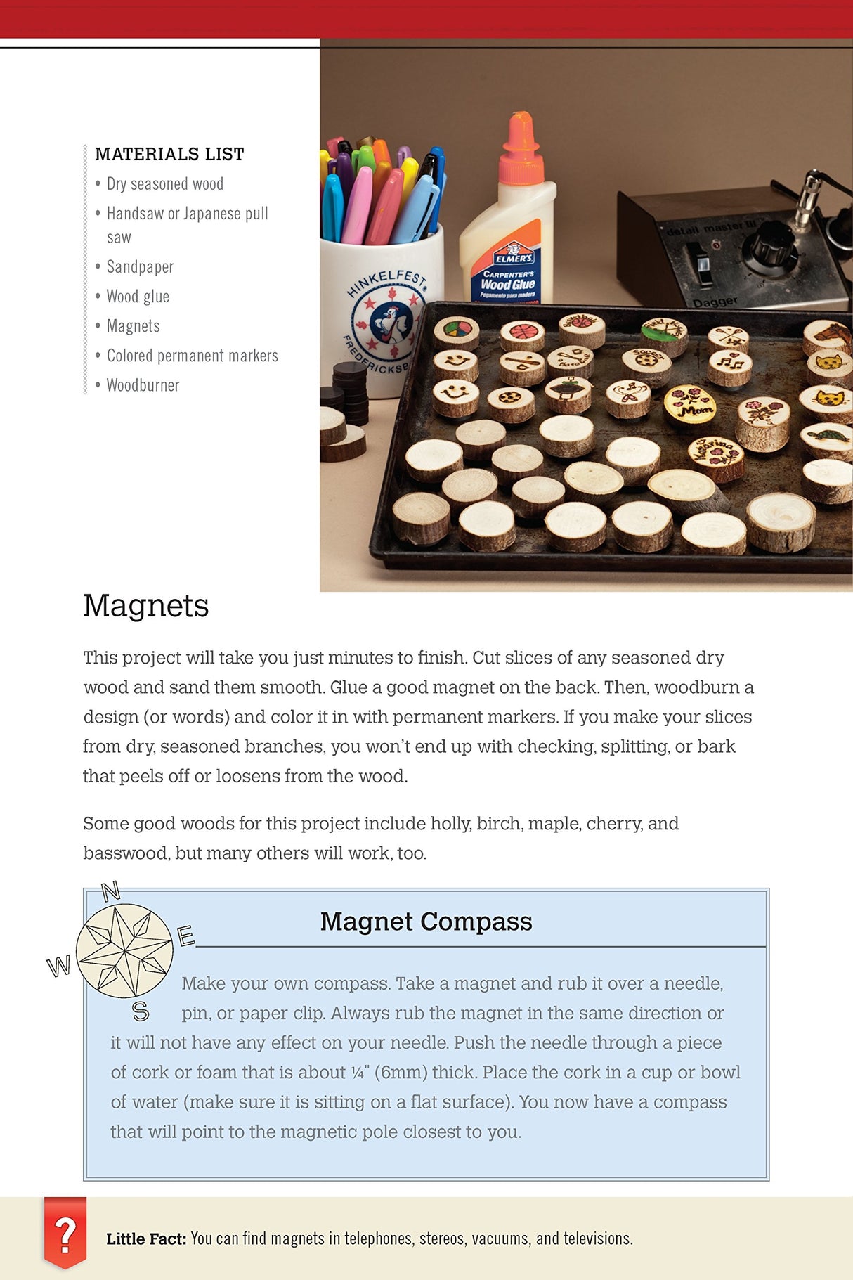 Big Book of Whittle Fun: 31 Simple Projects You Can Make with a Knife, Branches & Other Found Wood (Fox Chapel Publishing) Detailed Instructions & Fox Chapel Publishing