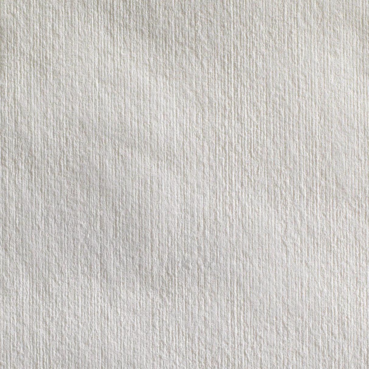 Georgia-Pacific Brawny Professional Heavyweight Disposable Shop Towels, White, 29322, 176 Towels Per Box, 10 Boxes Per Case (1760 Total) Georgia-Pacific