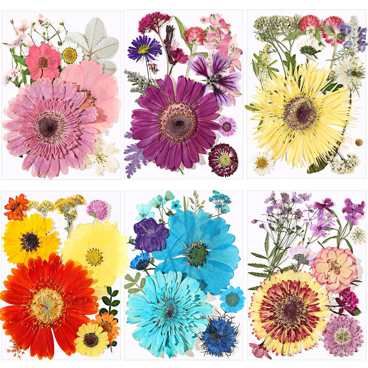 eBoot 72 Pcs Dried Pressed Flowers for Resin Molds Real Pressed Flowers Dry Leaves Bulk Natural Herbs Kit for Scrapbooking DIY Art Crafts Jewelry EBOOT